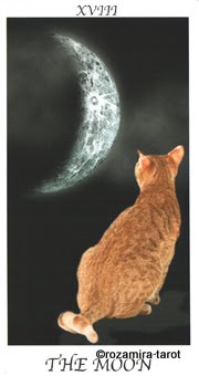 Cat's House Tarot by Hiroko Miyamoto